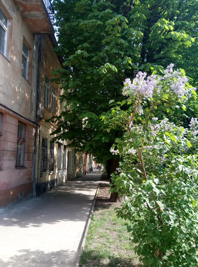 Lviv Appartment On Yaroslava Mudrogo 14 Eksteriør bilde
